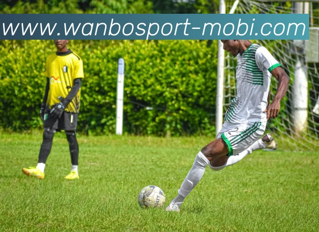 猛龙队与锋线新星朱利安里斯签约引发关注他是维密天使的弟弟